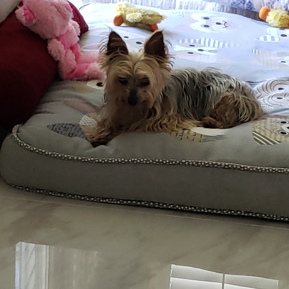 Massy xoxo ♡ - Picture 11 of 16